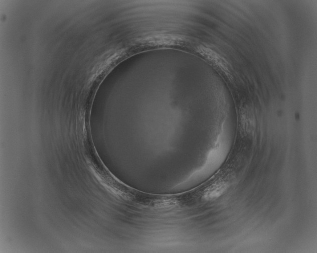 X0000073890398200608180939