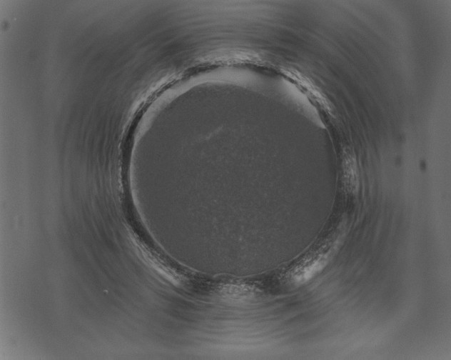 X0000073890399200608180939