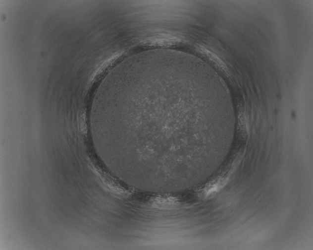 X0000073890403200608180939