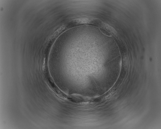 X0000073890406200608180939