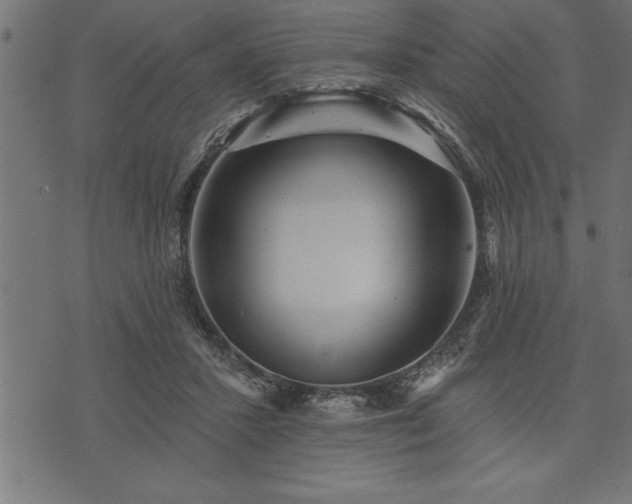 X0000073890407200608180939