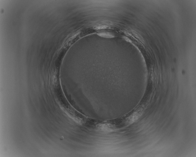 X0000073890408200608180939