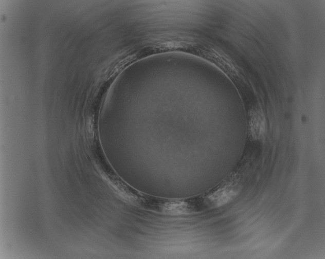 X0000073890410200608180938