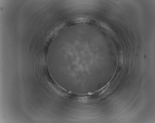 X0000073890411200608180938