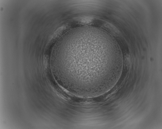 X0000073890412200608180938