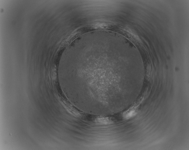 X0000073890413200608180938