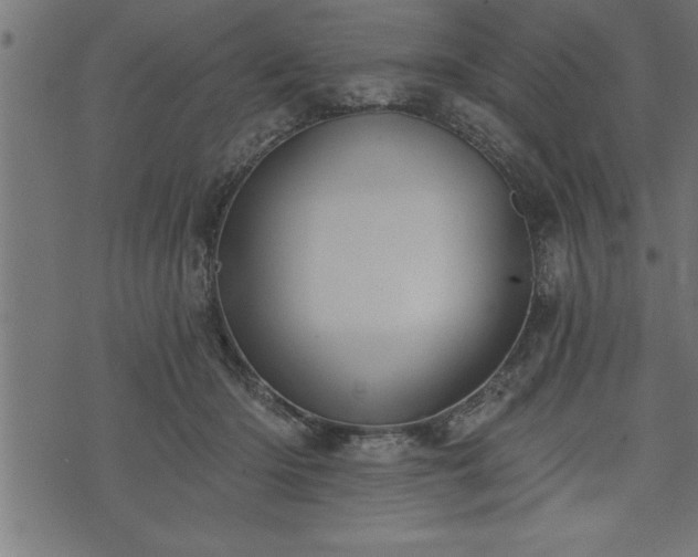 X0000073890414200608180938