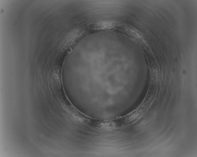 X0000073890415200608180938