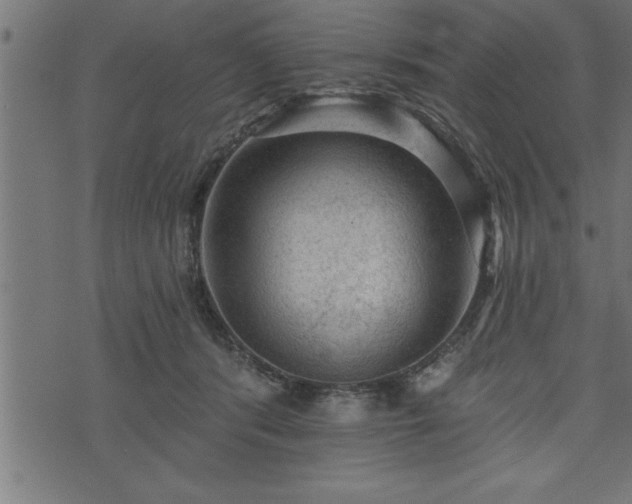 X0000073890416200608180938