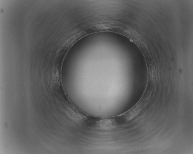 X0000073890418200608180938