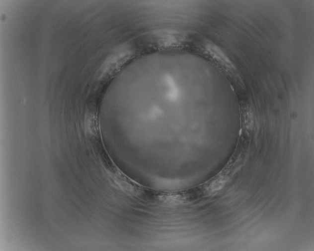 X0000073890419200608180938