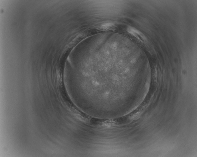 X0000073890420200608180938