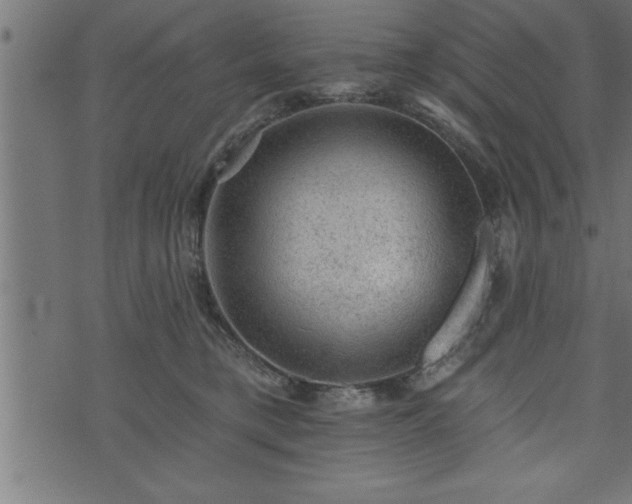 X0000073890421200608180938