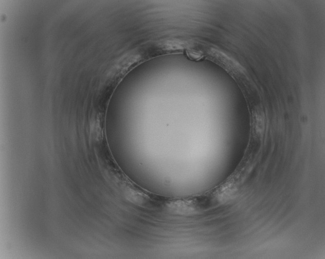 X0000073890422200608180938