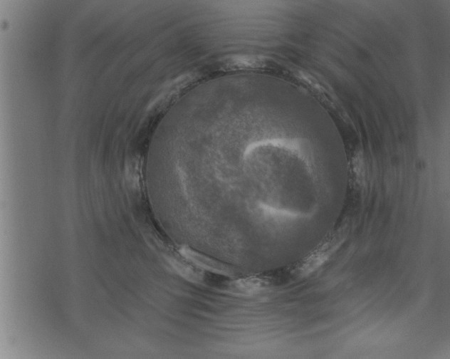 X0000073890423200608180938