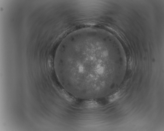 X0000073890424200608180938