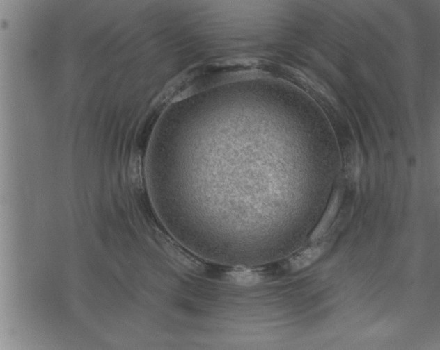 X0000073890425200608180938