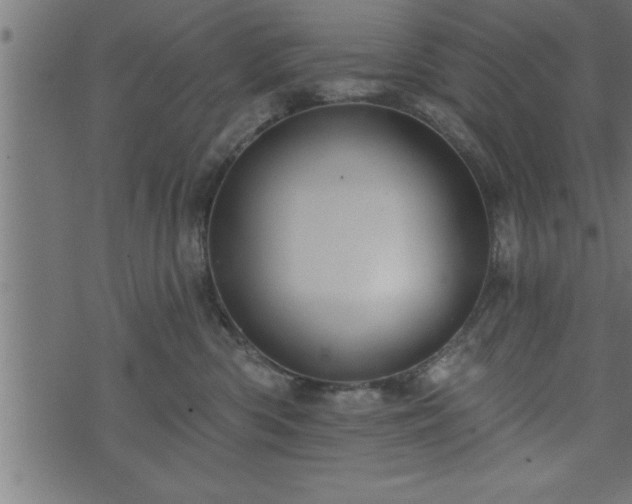 X0000073890426200608180938