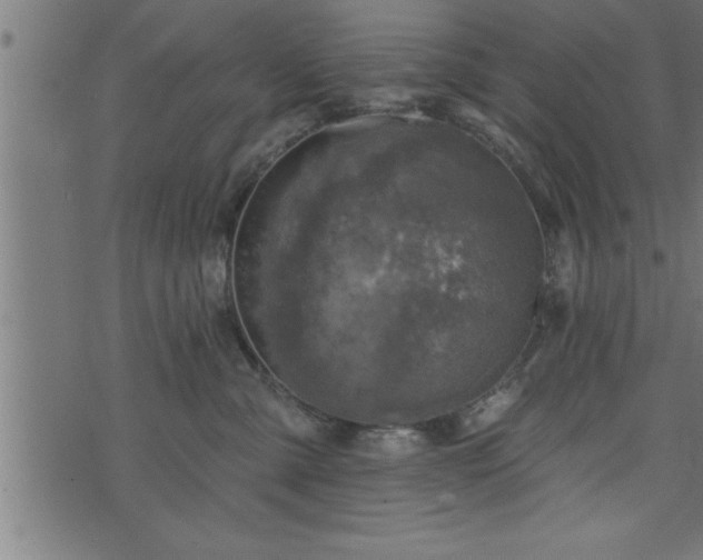 X0000073890427200608180938