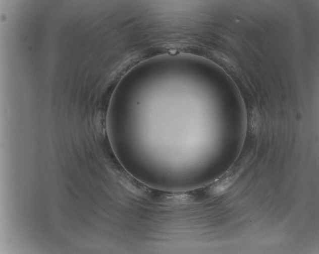 X0000073890428200608180938