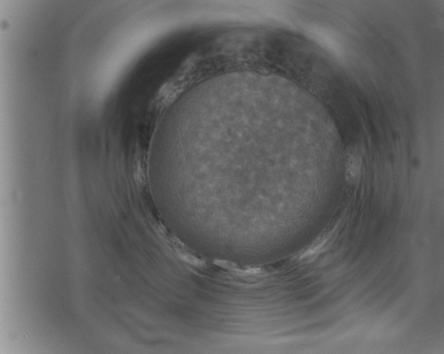 X0000073890431200608180938