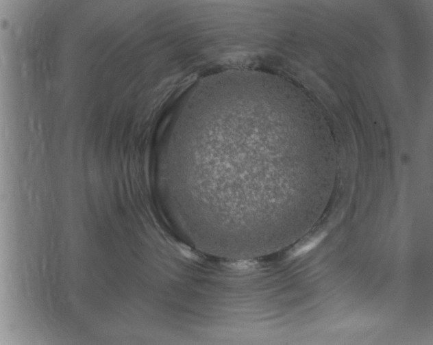 X0000073890432200608180938