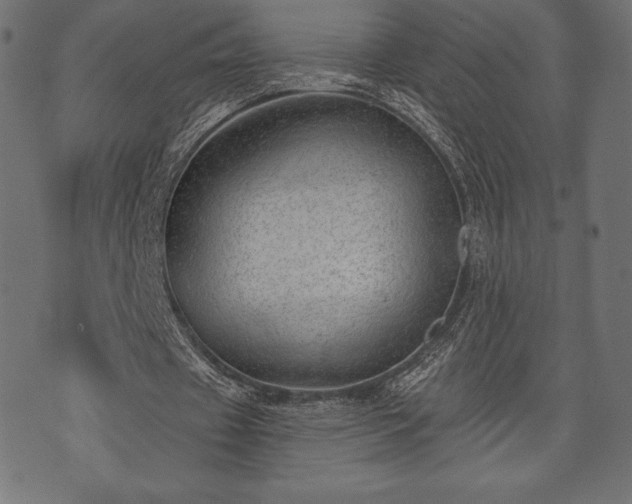 X0000073890433200608180937