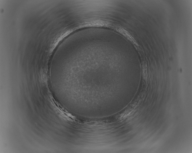 X0000073890434200608180937