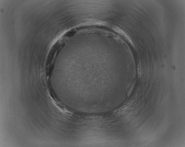 X0000073890436200608180937