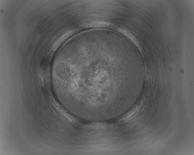 X0000073890437200608180937