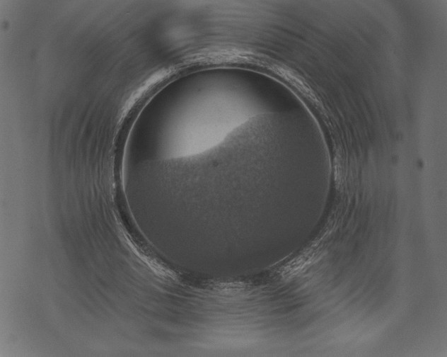 X0000073890438200608180937