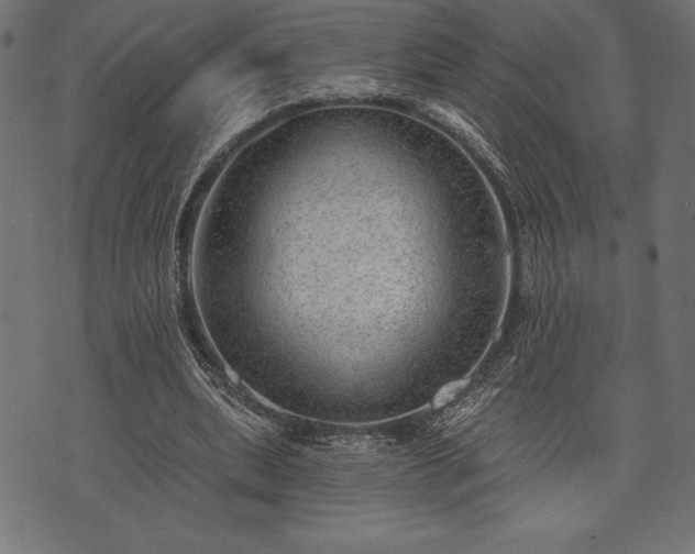 X0000073890439200608180937