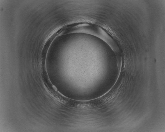 X0000073890440200608180937