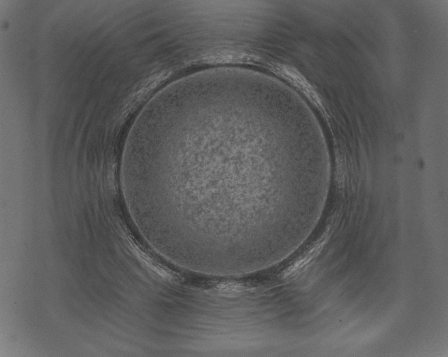 X0000073890441200608180937