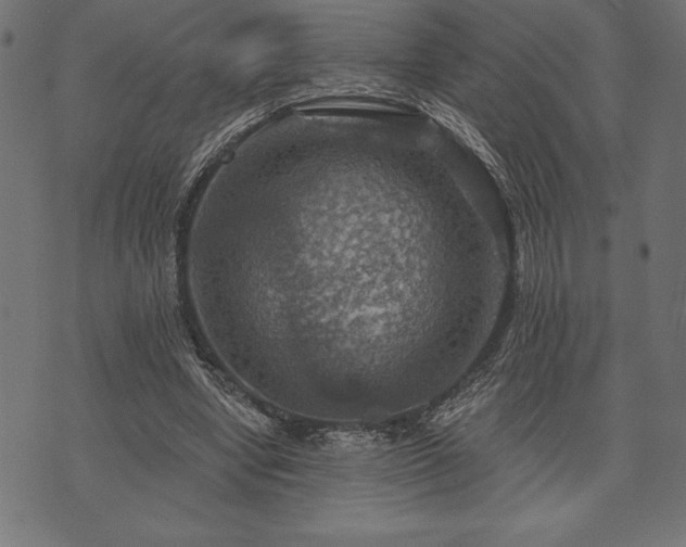 X0000073890442200608180937