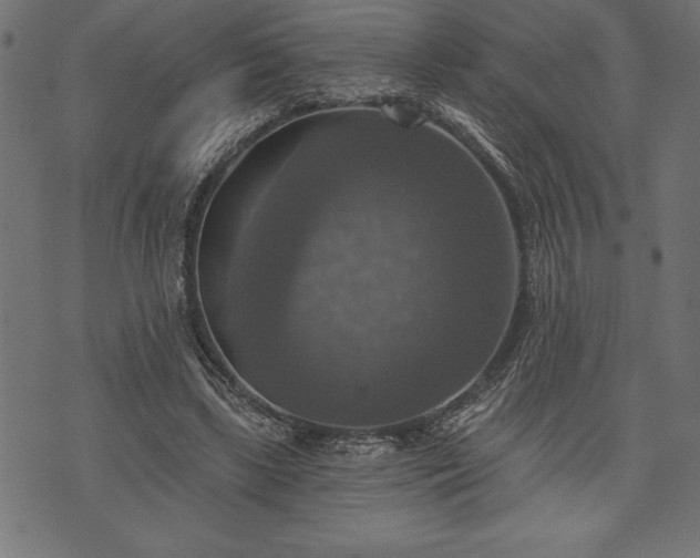 X0000073890443200608180937