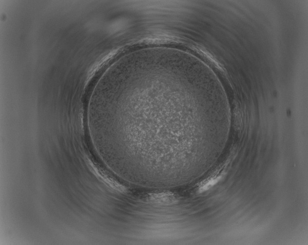 X0000073890446200608180938