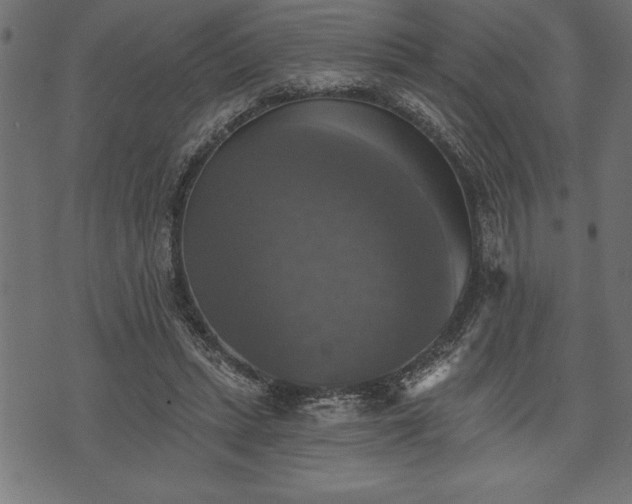 X0000073890447200608180938