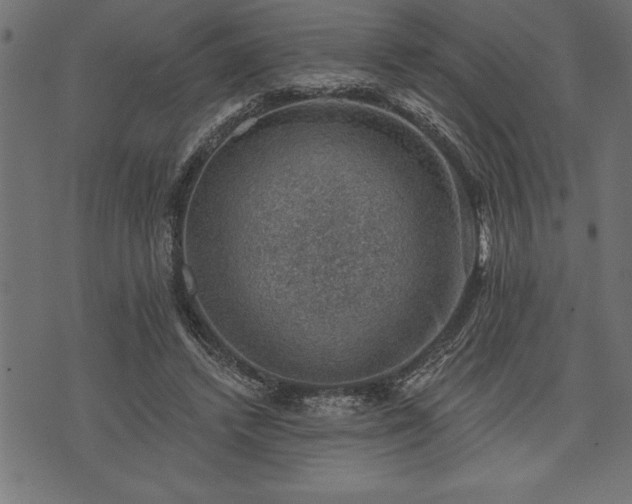 X0000073890448200608180938