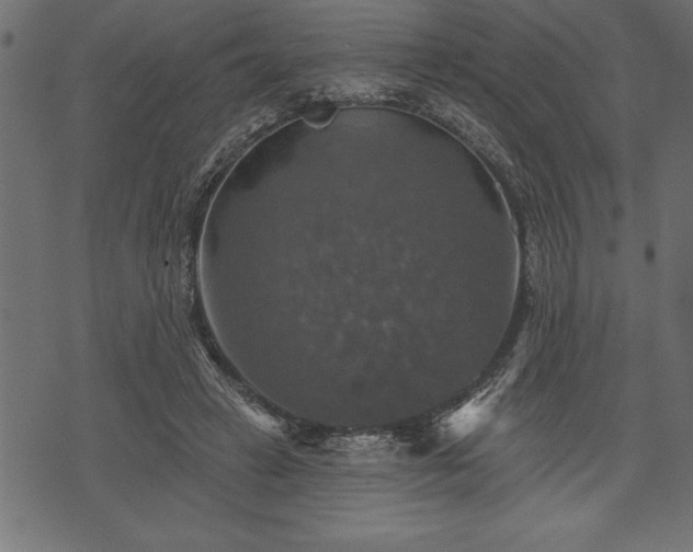 X0000073890449200608180938