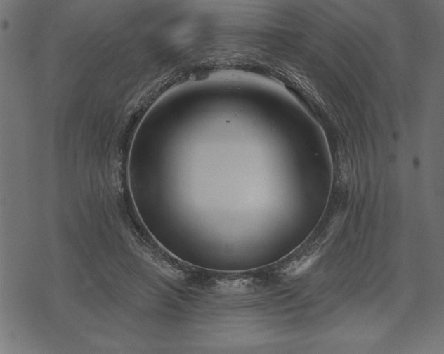 X0000073890450200608180938