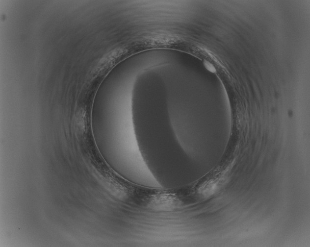 X0000073890451200608180938