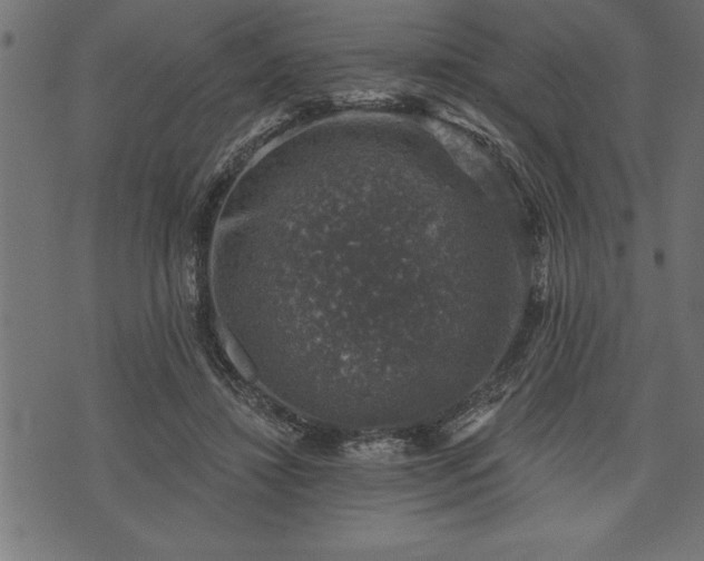 X0000073890452200608180938