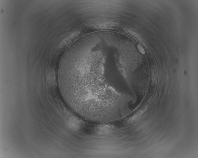 X0000073890453200608180938