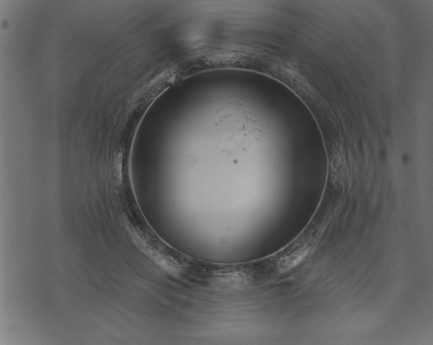 X0000073890454200608180938