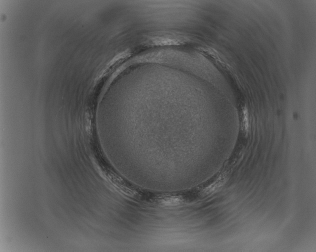 X0000073890456200608180938