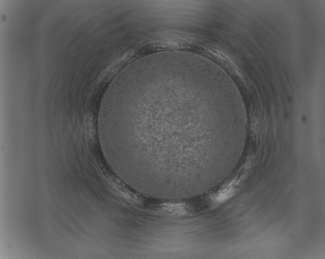 X0000073890457200608180938