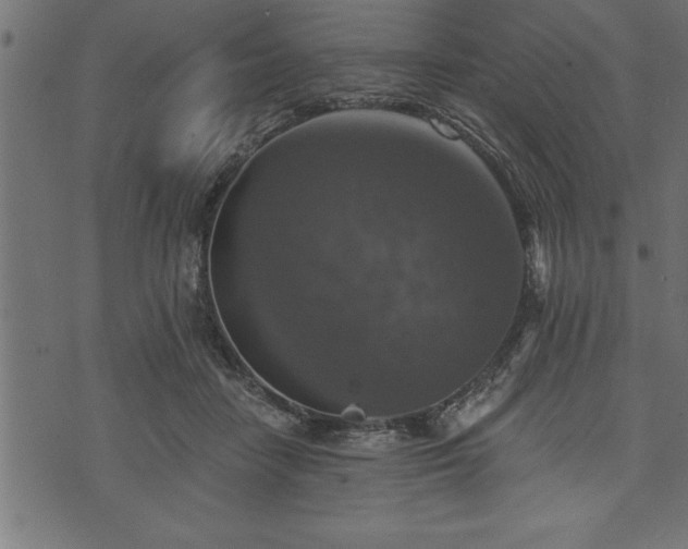 X0000073890458200608180938