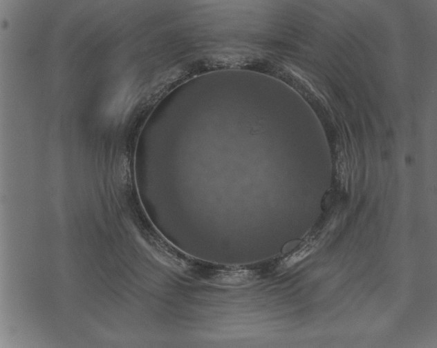 X0000073890459200608180938