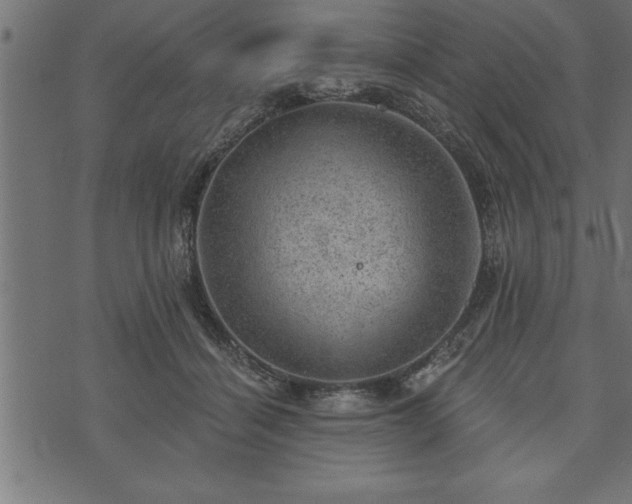 X0000073890460200608180938